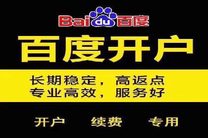 SEM推广实战：案例分析及策略调整